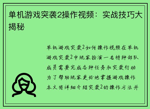 单机游戏突袭2操作视频：实战技巧大揭秘
